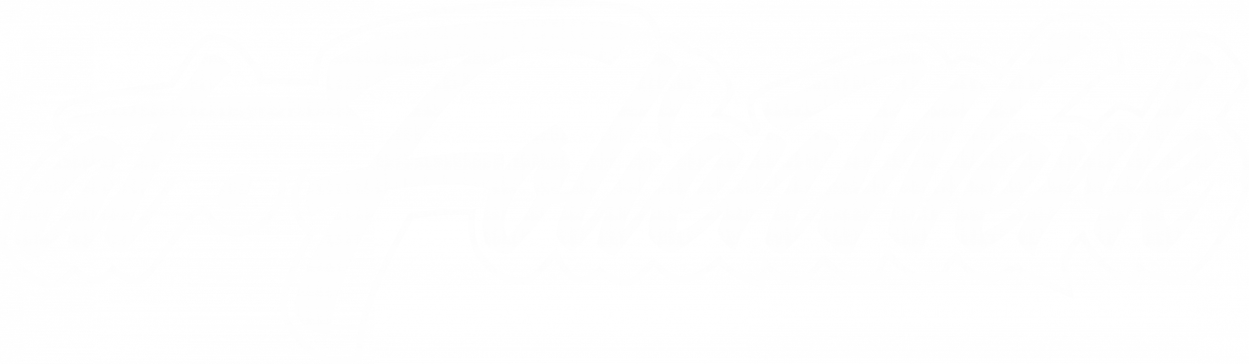 Logo_Schrift_2025_weis